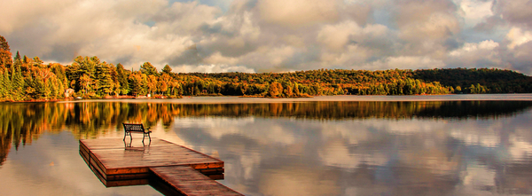 Autumn Colours near Algonquin Park  A13