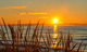 Beach Grass at Sunset, Grand Bend, Lake Huron