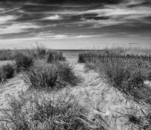 Grand Bend Beach in Black and White