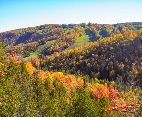 Devil's Glen Provincial Park