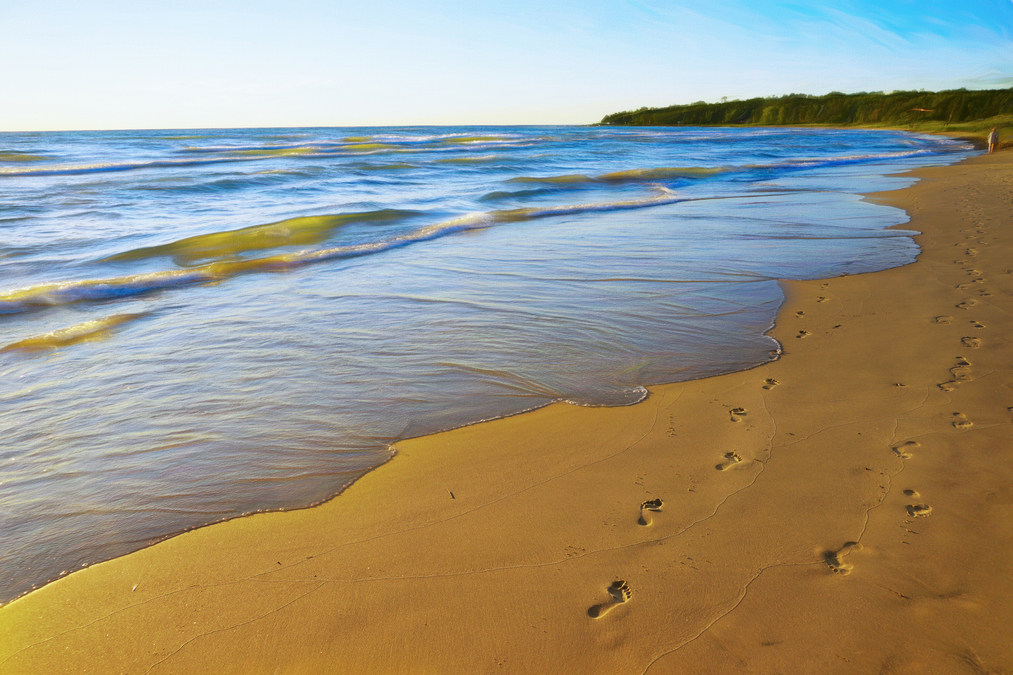 Footprints Along the Beach