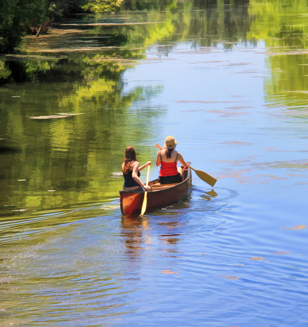 Morning Paddle  P11