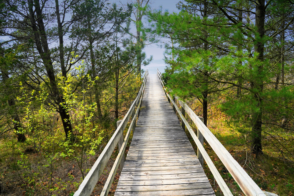 Boardwalk to the Beach  P7