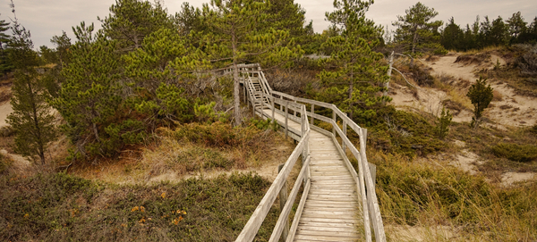 Through the Dunes  P20