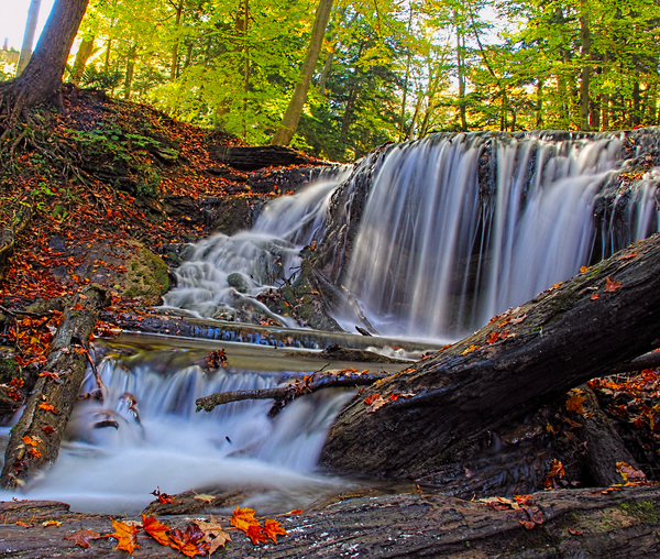 Weaver's Creek Falls