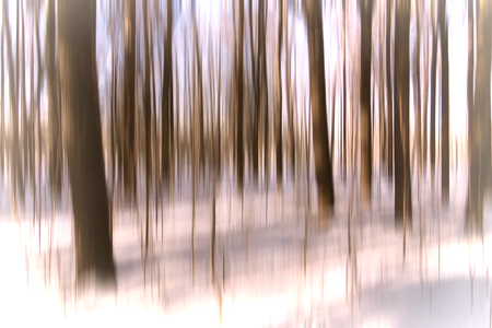 Winter Abstract