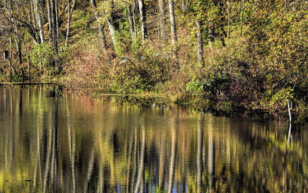 Ausable Reflections  A6