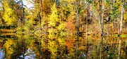 Autumn at the Old Ausable River  A18