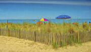 Beach Grass and Umbrellas   BS26