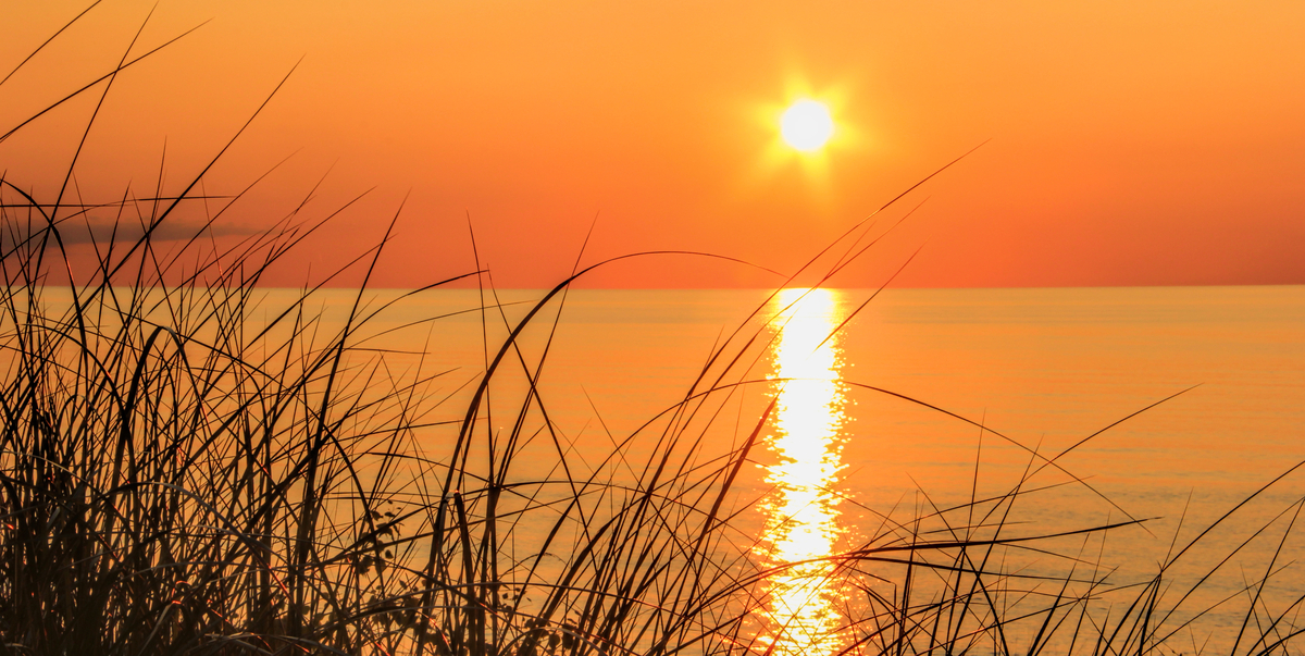 Beachgrass at Sunset   SS7