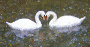 Swan Love  AP15