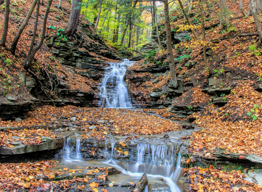 Letchworth Falls