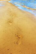 Nothing But Footprints  BS15