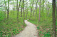 Pinery Trail, Springtime  P6