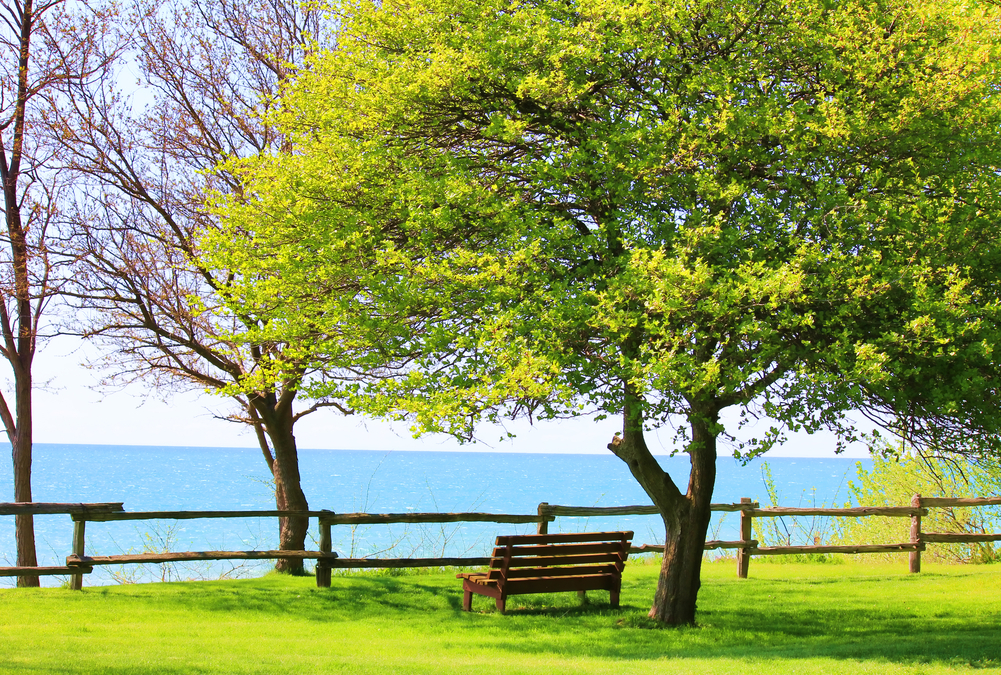 Pioneer Park, Bayfield