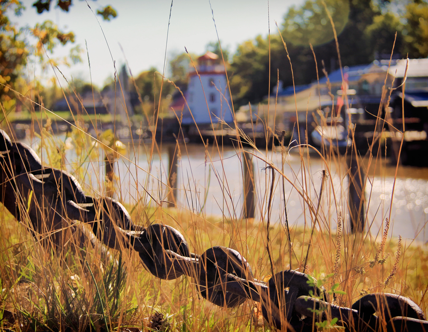 Harbour View in Autumn  A14