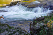 Sauble Falls