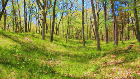 Springtime, Heritage Trail  P23