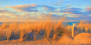 Sun Kissed Beach Grass  AP14