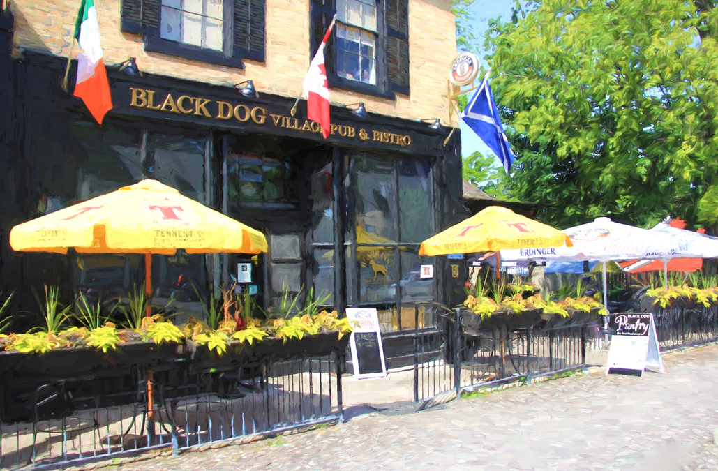 The Black Dog, Bayfield